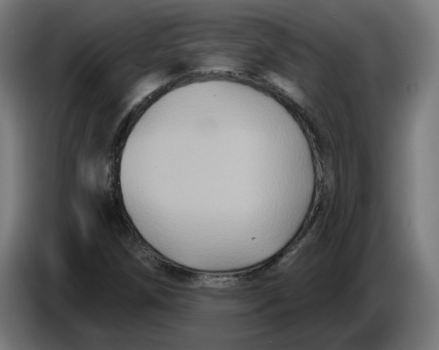 X0000086731258200705041340