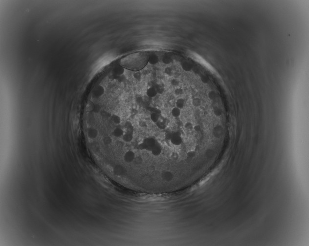 X0000086731259200705041340