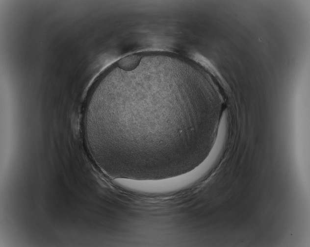 X0000086731260200705041340