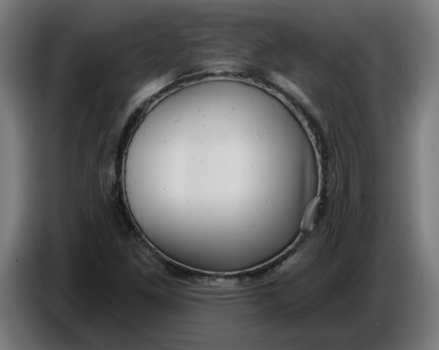 X0000086731261200705041340