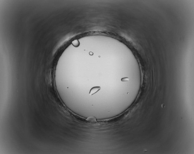 X0000086731262200705041340