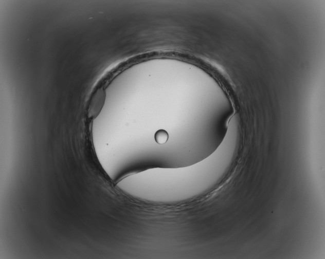 X0000086731263200705041340