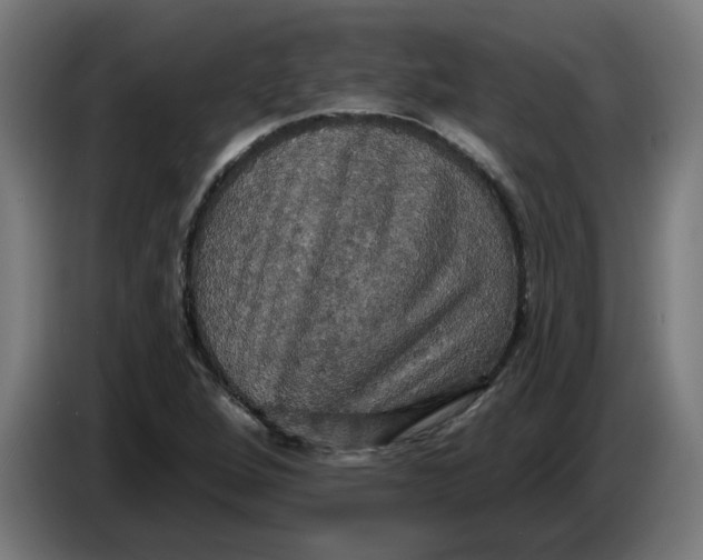 X0000086731264200705041340