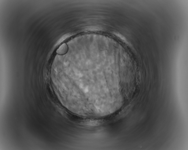 X0000086731266200705041340