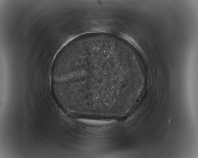 X0000086731268200705041340