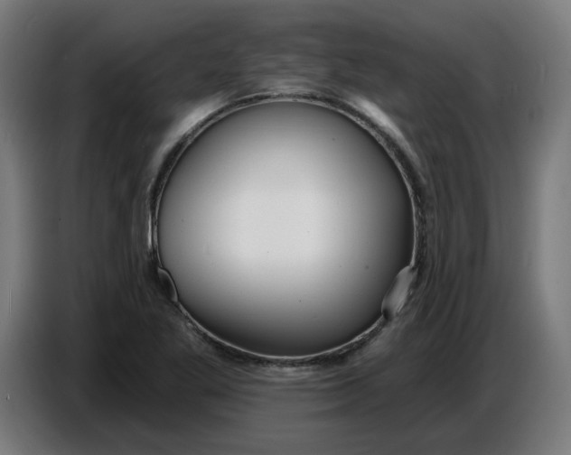 X0000086731269200705041340