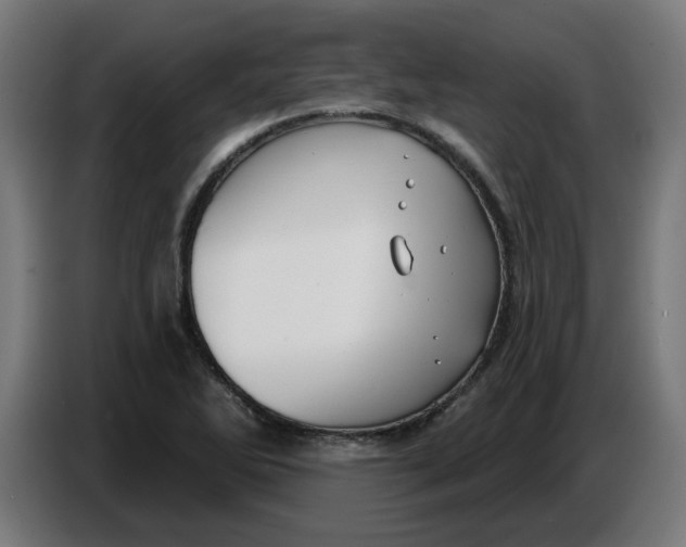 X0000086731270200705041340