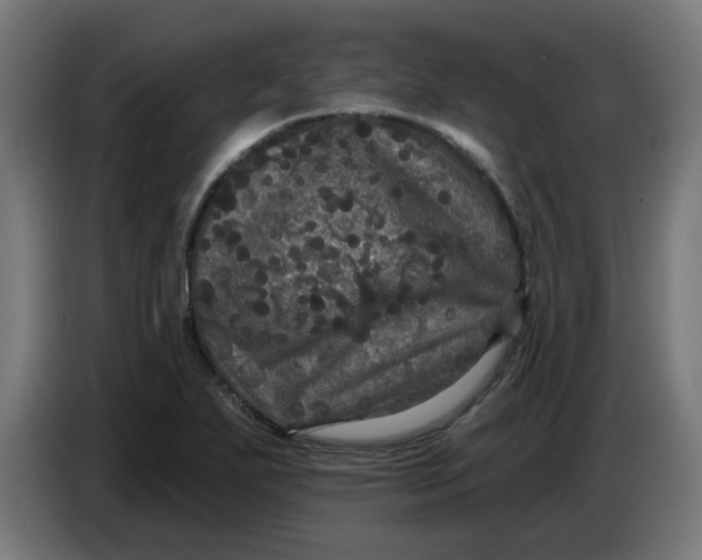 X0000086731271200705041340