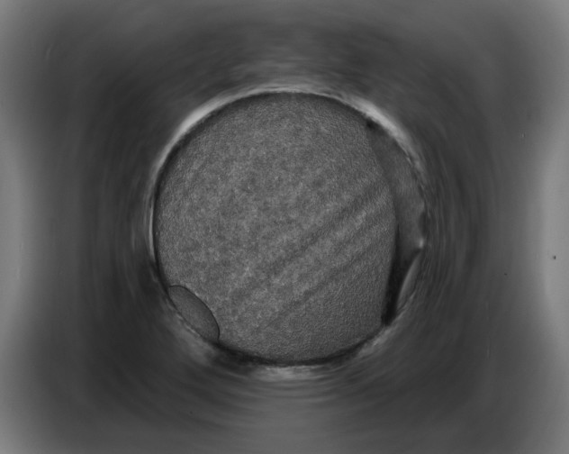 X0000086731272200705041340