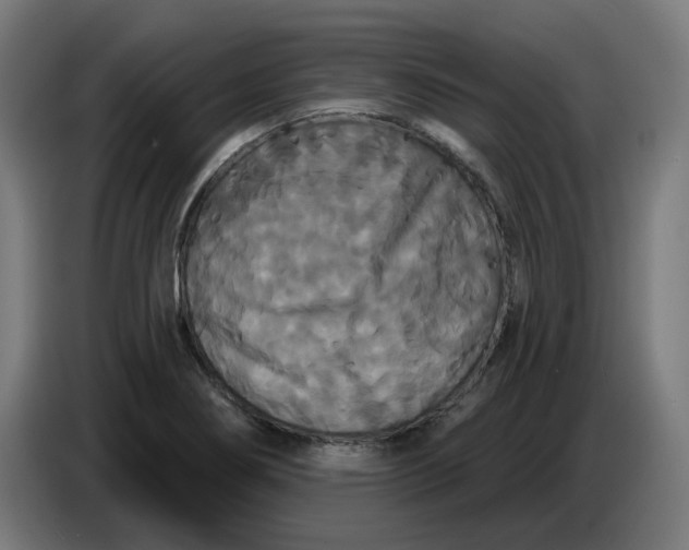 X0000086731274200705041340