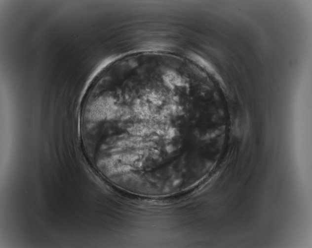 X0000086731275200705041340