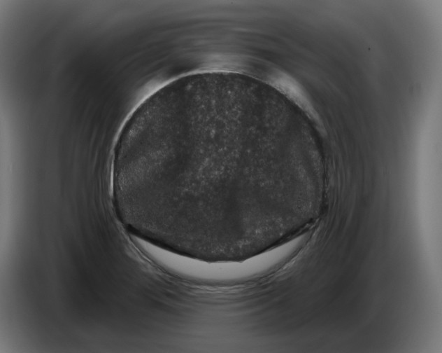 X0000086731276200705041340