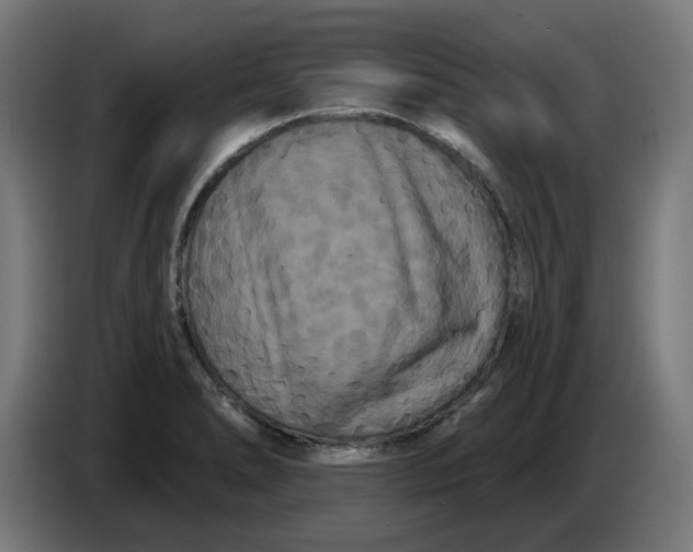 X0000086731278200705041340