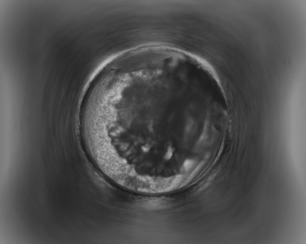 X0000086731279200705041340