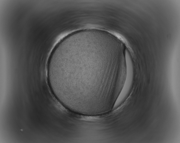 X0000086731280200705041340