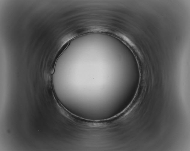 X0000086731281200705041340