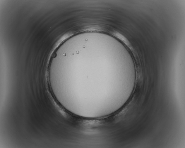 X0000086731282200705041340