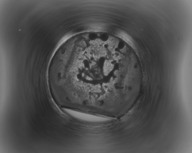 X0000086731283200705041340