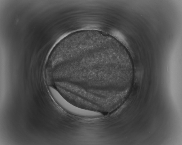 X0000086731284200705041340