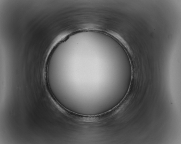 X0000086731285200705041340