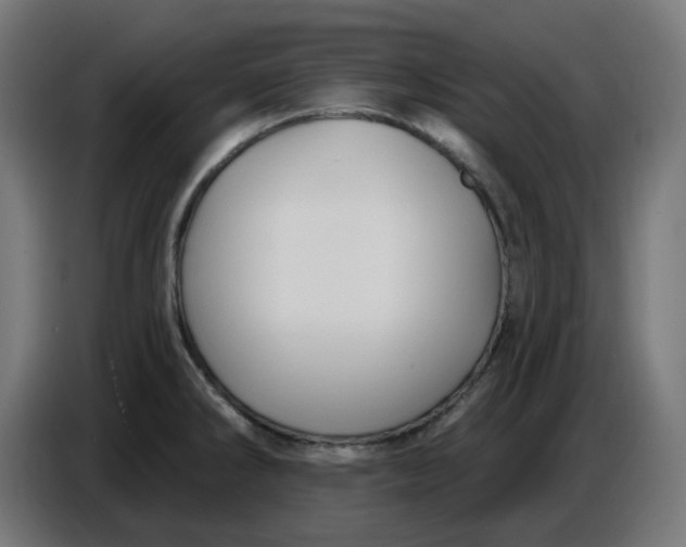 X0000086731286200705041340