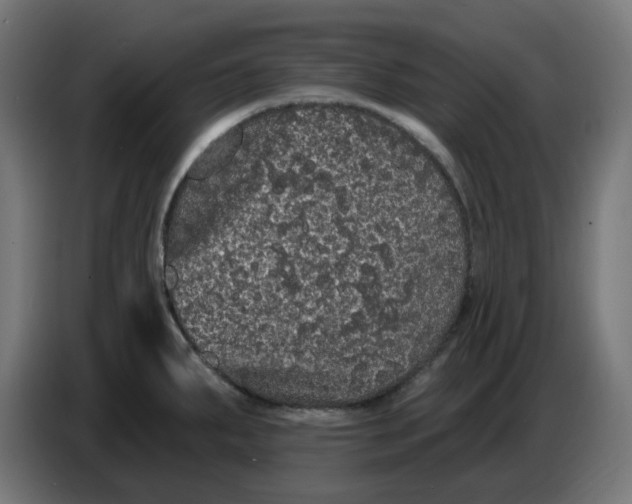 X0000086731287200705041340