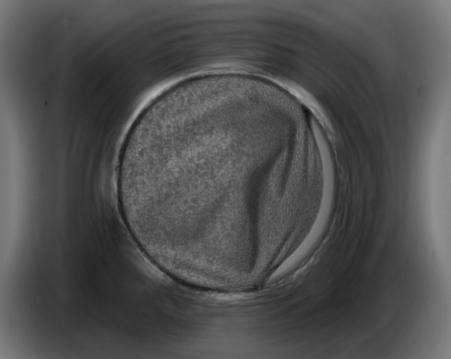 X0000086731288200705041340