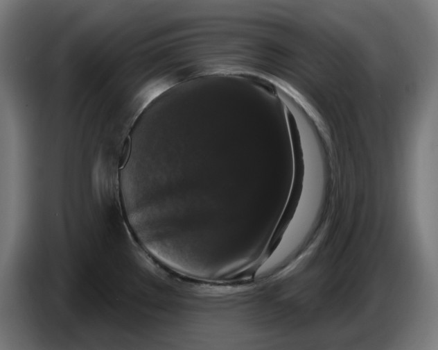 X0000086731289200705041340