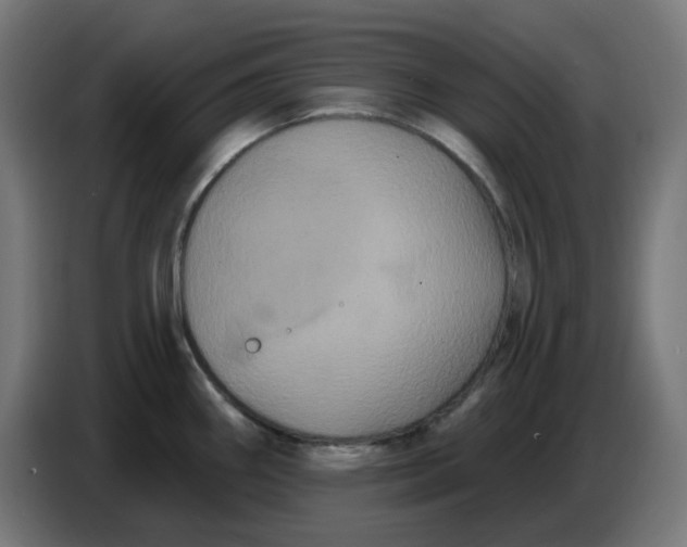 X0000086731290200705041340