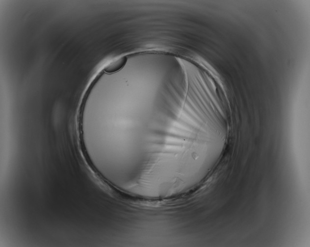 X0000086731291200705041340