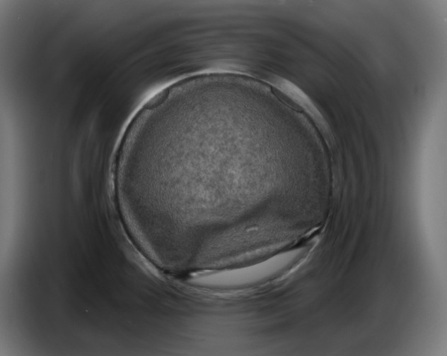 X0000086731292200705041340