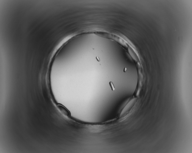 X0000086731293200705041340