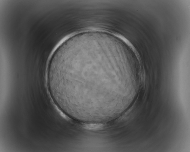 X0000086731294200705041340