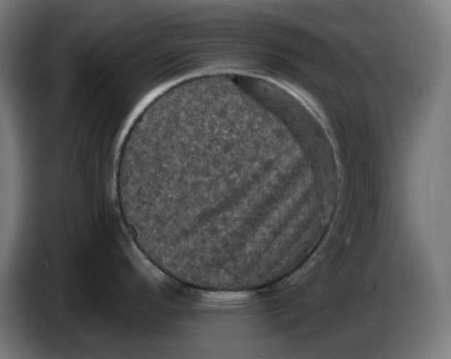 X0000086731296200705041340