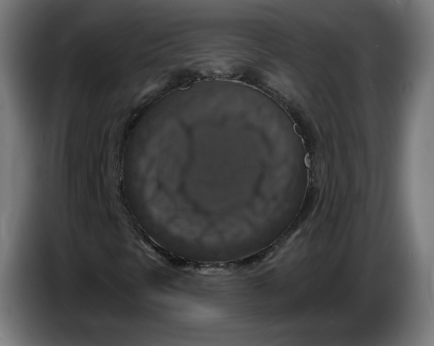 X0000086731297200705041339