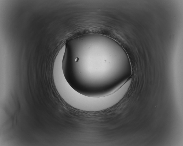 X0000086731298200705041339