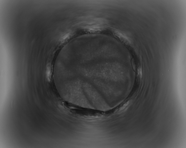 X0000086731300200705041339