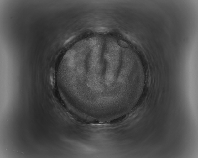 X0000086731301200705041339