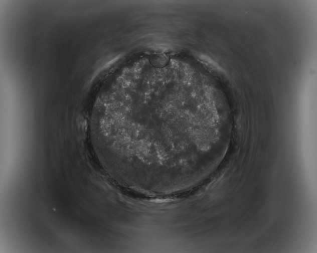 X0000086731302200705041339