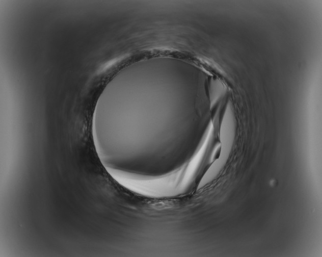 X0000086731303200705041339