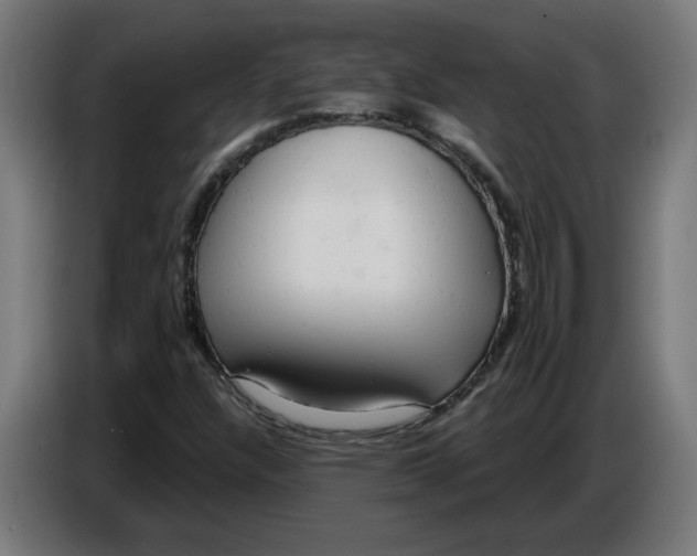 X0000086731304200705041339