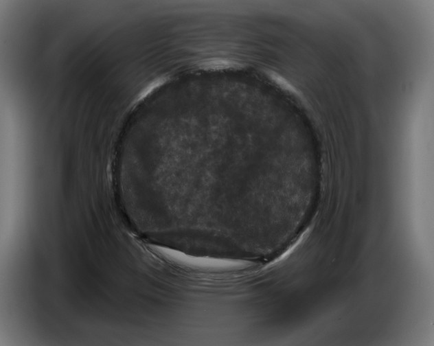 X0000086731305200705041339