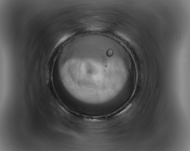 X0000086731306200705041339