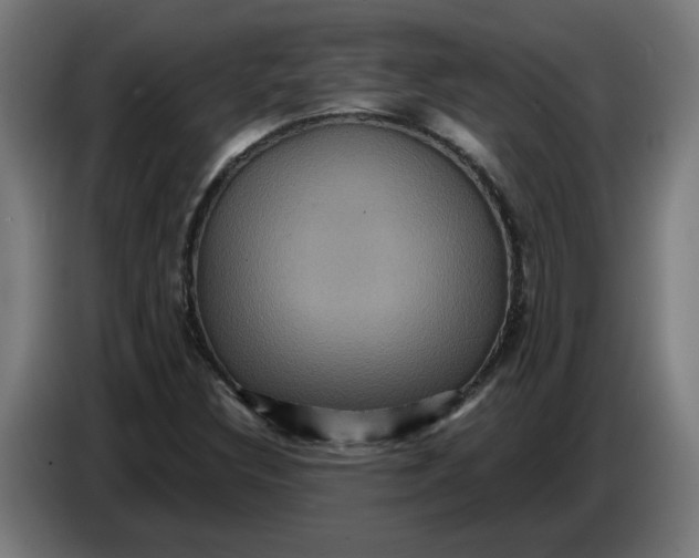 X0000086731308200705041339