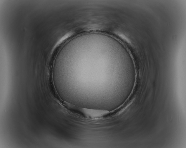 X0000086731309200705041339