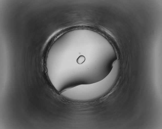 X0000086731310200705041339