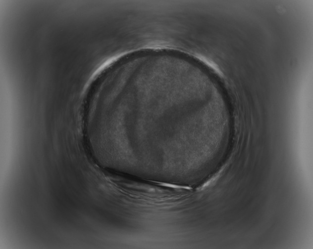 X0000086731311200705041339