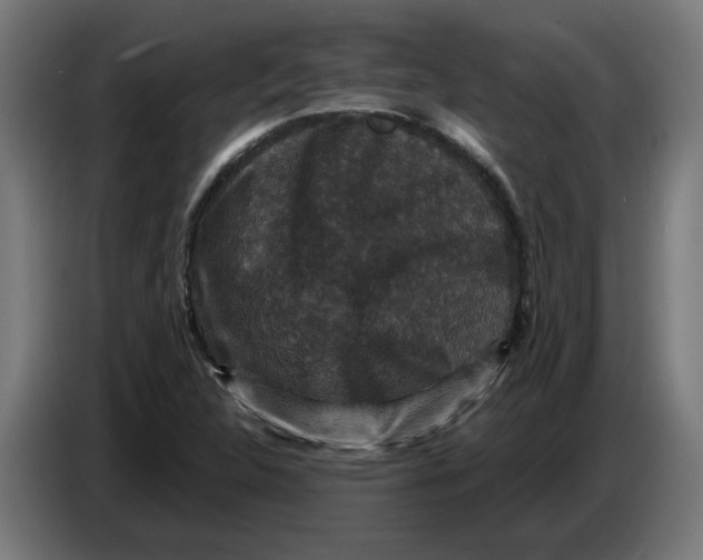 X0000086731312200705041339