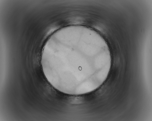 X0000086731314200705041339