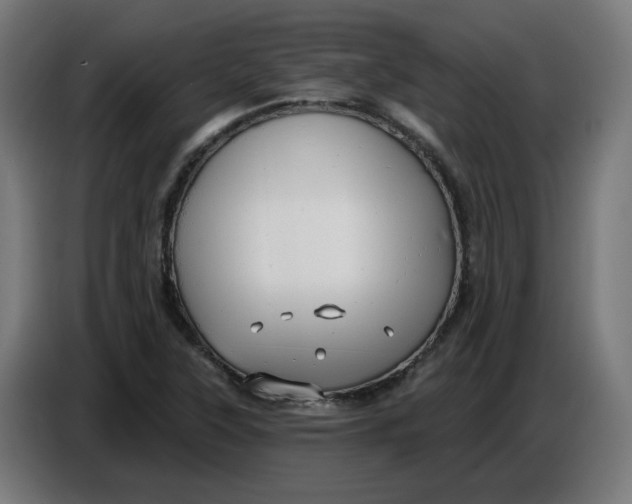 X0000086731315200705041339